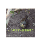 Leoのスタンプ第2弾（個別スタンプ：3）
