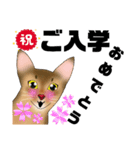 アビにゃん 春ver. 改訂版（個別スタンプ：2）