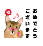 アビにゃん 春ver. 改訂版（個別スタンプ：3）
