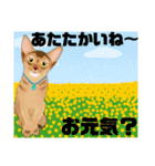 アビにゃん 春ver. 改訂版（個別スタンプ：5）