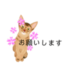 アビにゃん 春ver. 改訂版（個別スタンプ：10）