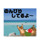 アビにゃん 春ver. 改訂版（個別スタンプ：29）