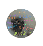 メインクーンのスタンプPart2（個別スタンプ：27）