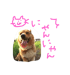 ちょびくんちょびくん（個別スタンプ：2）