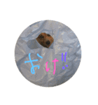ちょびくんちょびくん（個別スタンプ：9）
