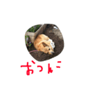 ちょびくんちょびくん（個別スタンプ：25）