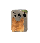 ちょびくんちょびくん（個別スタンプ：27）