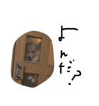 ちょびくんちょびくん（個別スタンプ：31）