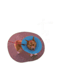 ちょびくんちょびくん（個別スタンプ：36）