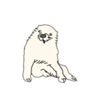 江戸の犬（個別スタンプ：1）