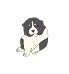 江戸の犬（個別スタンプ：3）