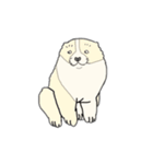 江戸の犬（個別スタンプ：4）