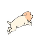 江戸の犬（個別スタンプ：5）
