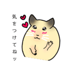 ハム子 日常会話（個別スタンプ：4）