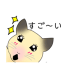 ハム子 日常会話（個別スタンプ：11）