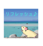 ハム子 日常会話（個別スタンプ：39）
