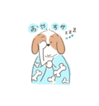 スレンダーでおちゃめなシーズー犬（個別スタンプ：12）