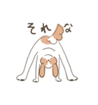 スレンダーでおちゃめなシーズー犬（個別スタンプ：17）