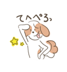 スレンダーでおちゃめなシーズー犬（個別スタンプ：27）