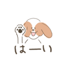 スレンダーでおちゃめなシーズー犬（個別スタンプ：31）