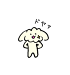 トイプードルのコロンちゃん（個別スタンプ：31）