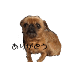 おさるのもんすけ（個別スタンプ：9）