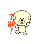 ビションのモフ犬 げんさん（個別スタンプ：1）