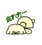 ビションのモフ犬 げんさん（個別スタンプ：3）