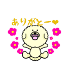 ビションのモフ犬 げんさん（個別スタンプ：4）