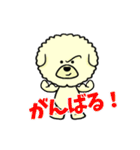 ビションのモフ犬 げんさん（個別スタンプ：6）