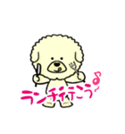 ビションのモフ犬 げんさん（個別スタンプ：9）