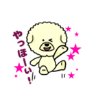 ビションのモフ犬 げんさん（個別スタンプ：11）