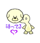 ビションのモフ犬 げんさん（個別スタンプ：13）
