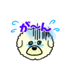 ビションのモフ犬 げんさん（個別スタンプ：16）