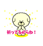 ビションのモフ犬 げんさん（個別スタンプ：18）
