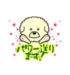 ビションのモフ犬 げんさん（個別スタンプ：19）