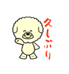 ビションのモフ犬 げんさん（個別スタンプ：21）