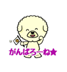 ビションのモフ犬 げんさん（個別スタンプ：30）