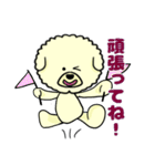 ビションのモフ犬 げんさん（個別スタンプ：34）