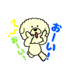 ビションのモフ犬 げんさん（個別スタンプ：39）