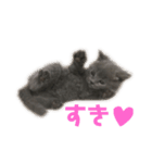 猫のみんとのすたんぷ（個別スタンプ：9）