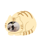 うん、マーね（個別スタンプ：2）