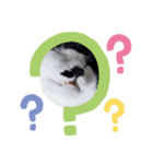 うん、マーね（個別スタンプ：3）