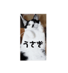 うん、マーね（個別スタンプ：4）