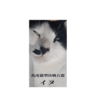 うん、マーね（個別スタンプ：8）