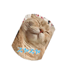 スコティッシュしんちゃん（個別スタンプ：9）