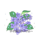 花たば＊あいさつ＊（個別スタンプ：4）