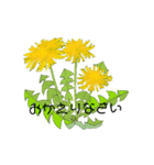 花たば＊あいさつ＊（個別スタンプ：8）