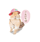 うさぎのれおたん。（個別スタンプ：2）