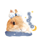 うさぎのれおたん。（個別スタンプ：3）